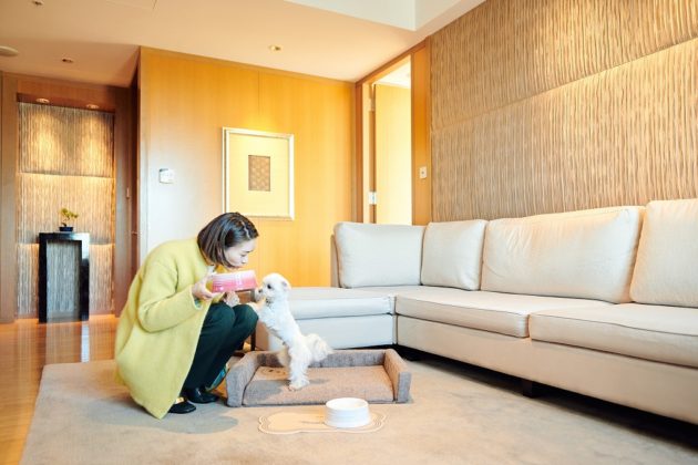 心と健康に寄り添った機能性ペットベッド「NOMIN PET BED」マンダリン オリエンタル 東京がドッグステイに採用<br>~3月1日(火)より宿泊後の購入も開始~